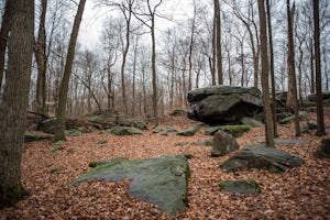 Hike through the Sourland Mountain Preserve