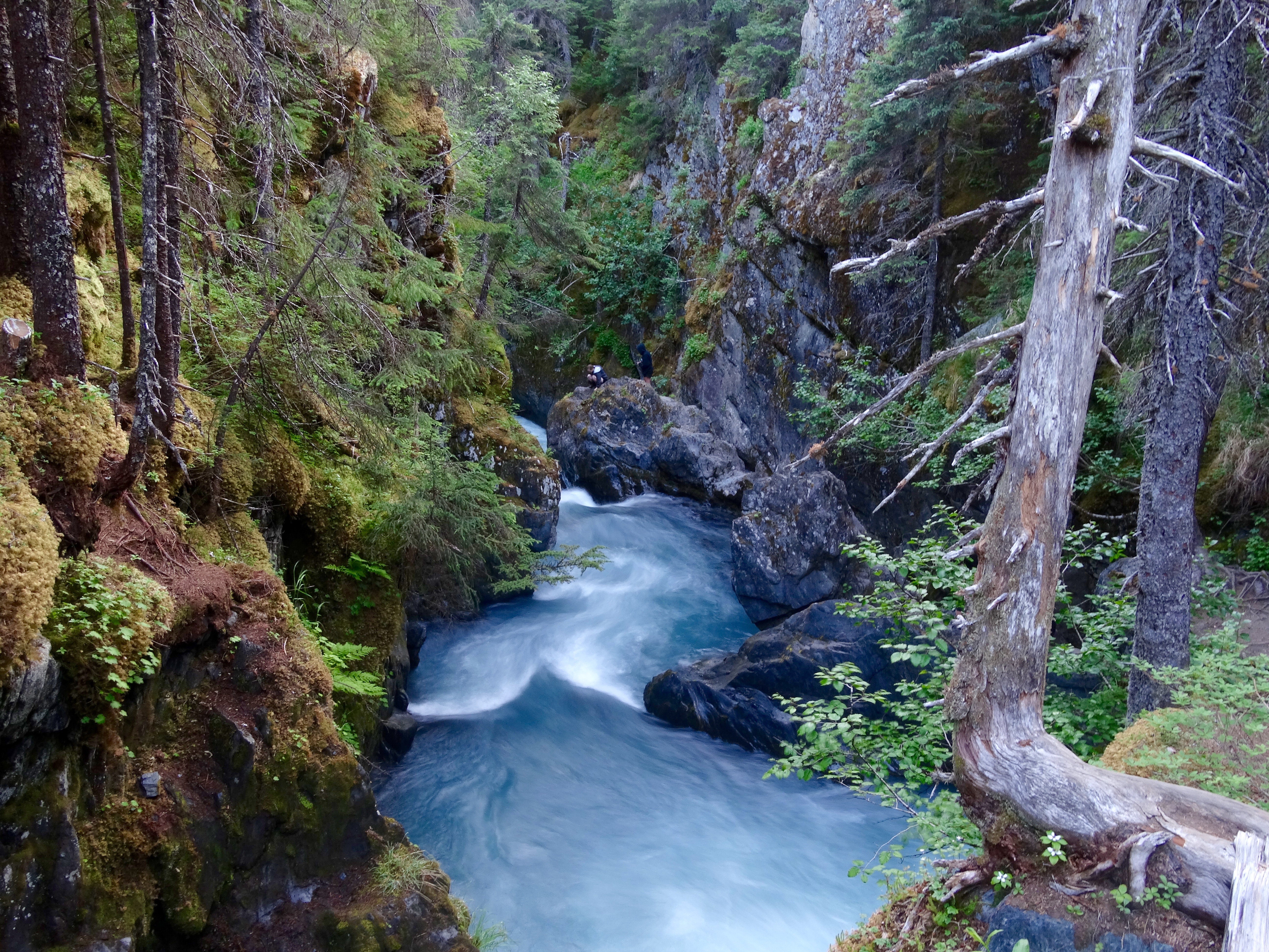 Hike Winner Creek Gorge