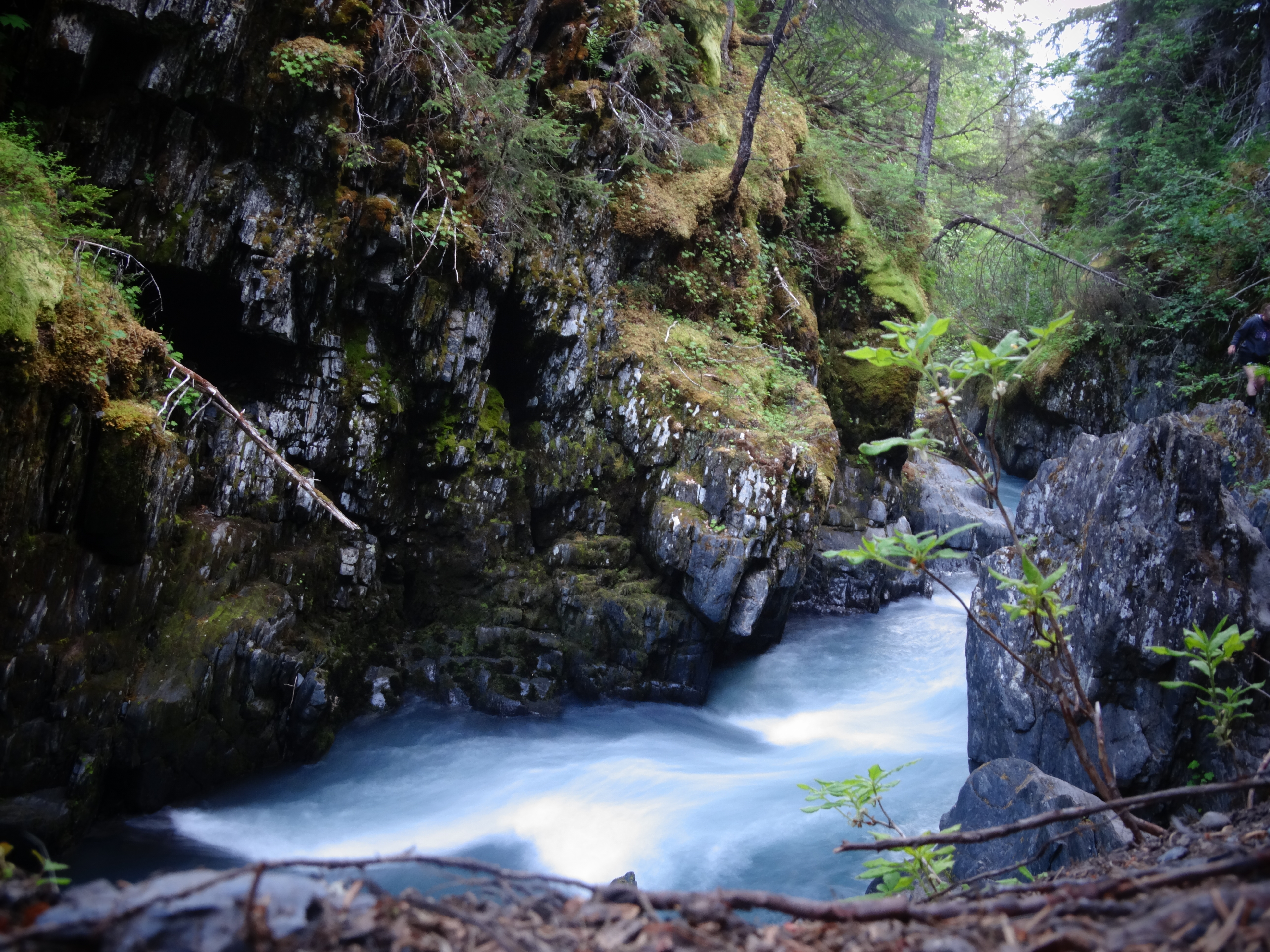 Hike Winner Creek Gorge