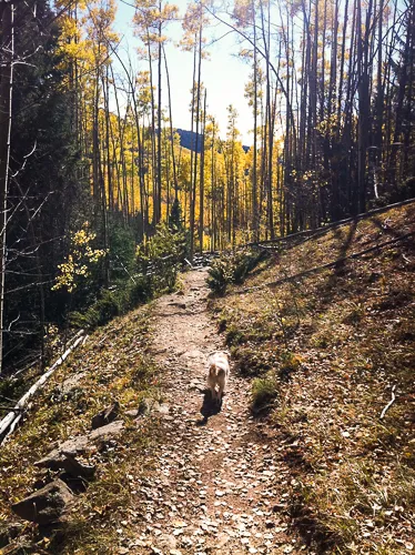 Hike or Bike Aspen Vista