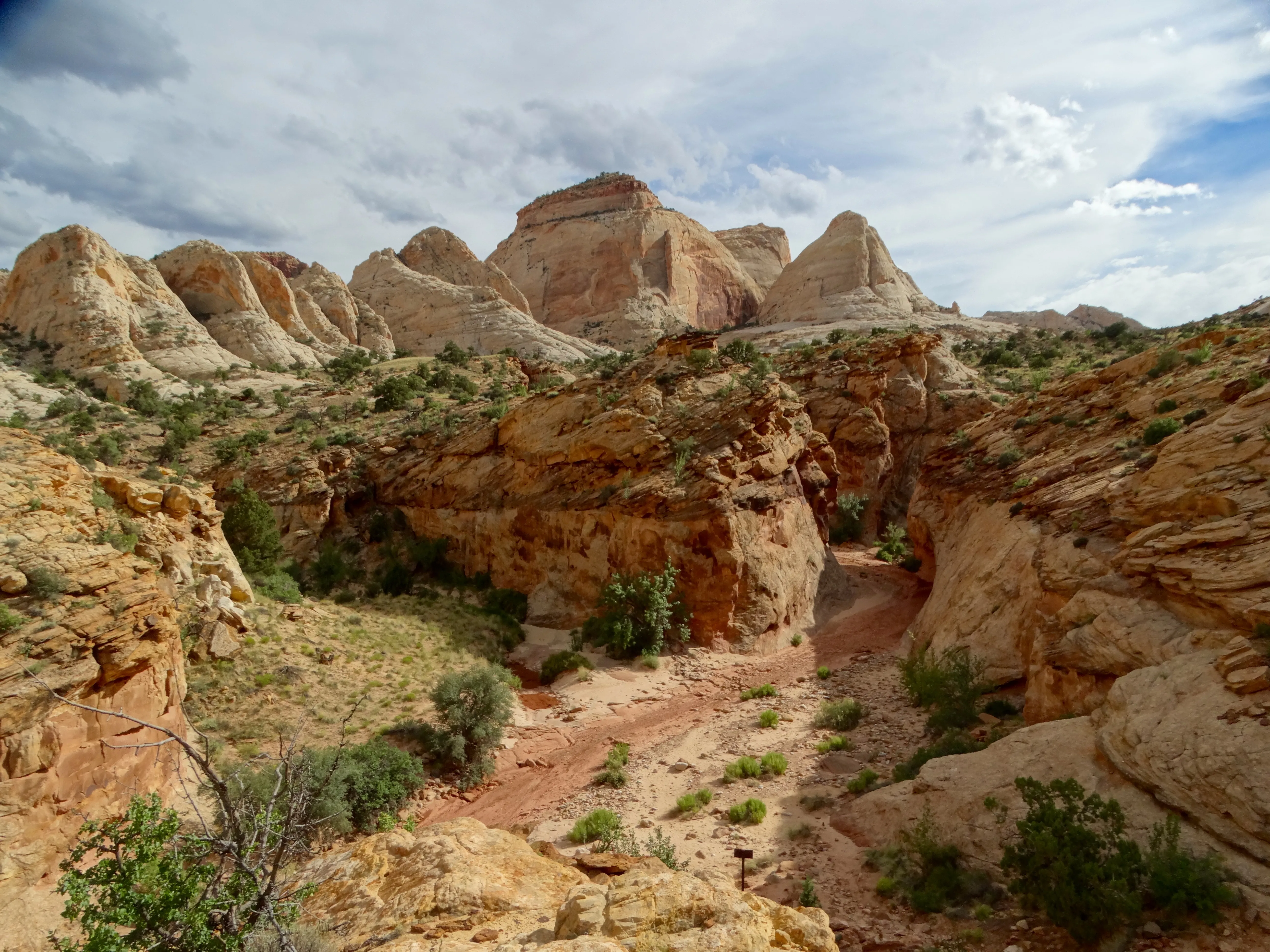 Capitol Gorge Trail