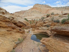 Capitol Gorge Trail