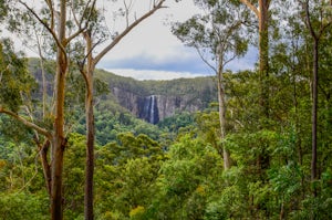 Hike Minyon Falls Loop