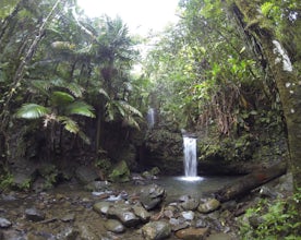 Explore Juan Diego Falls