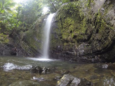 Explore Juan Diego Falls