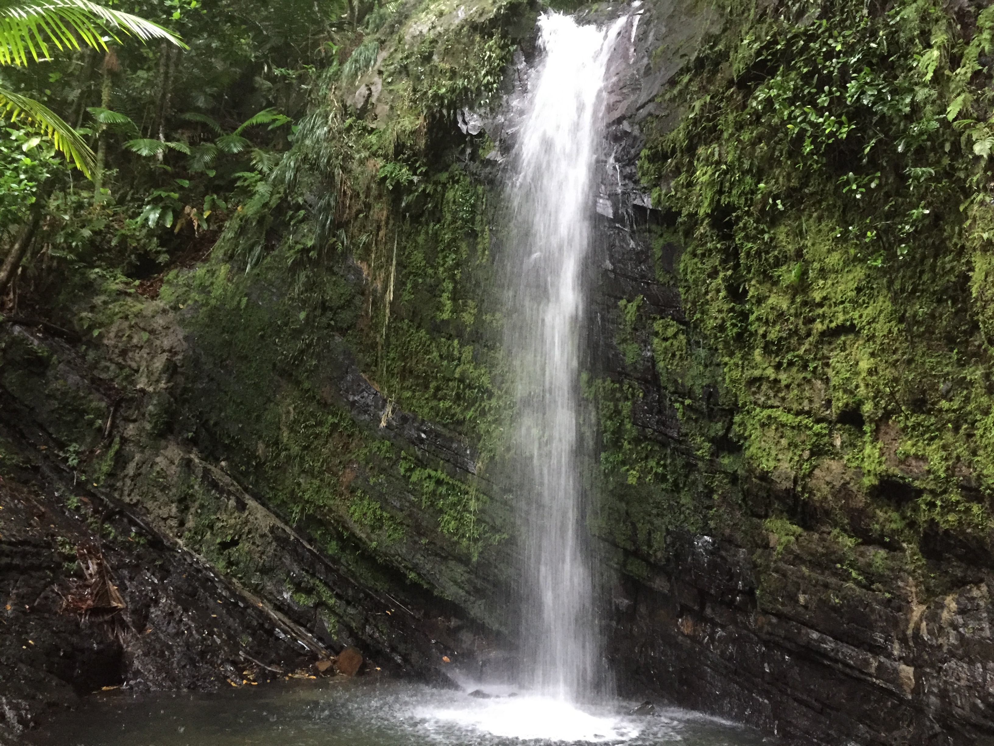 Explore Juan Diego Falls