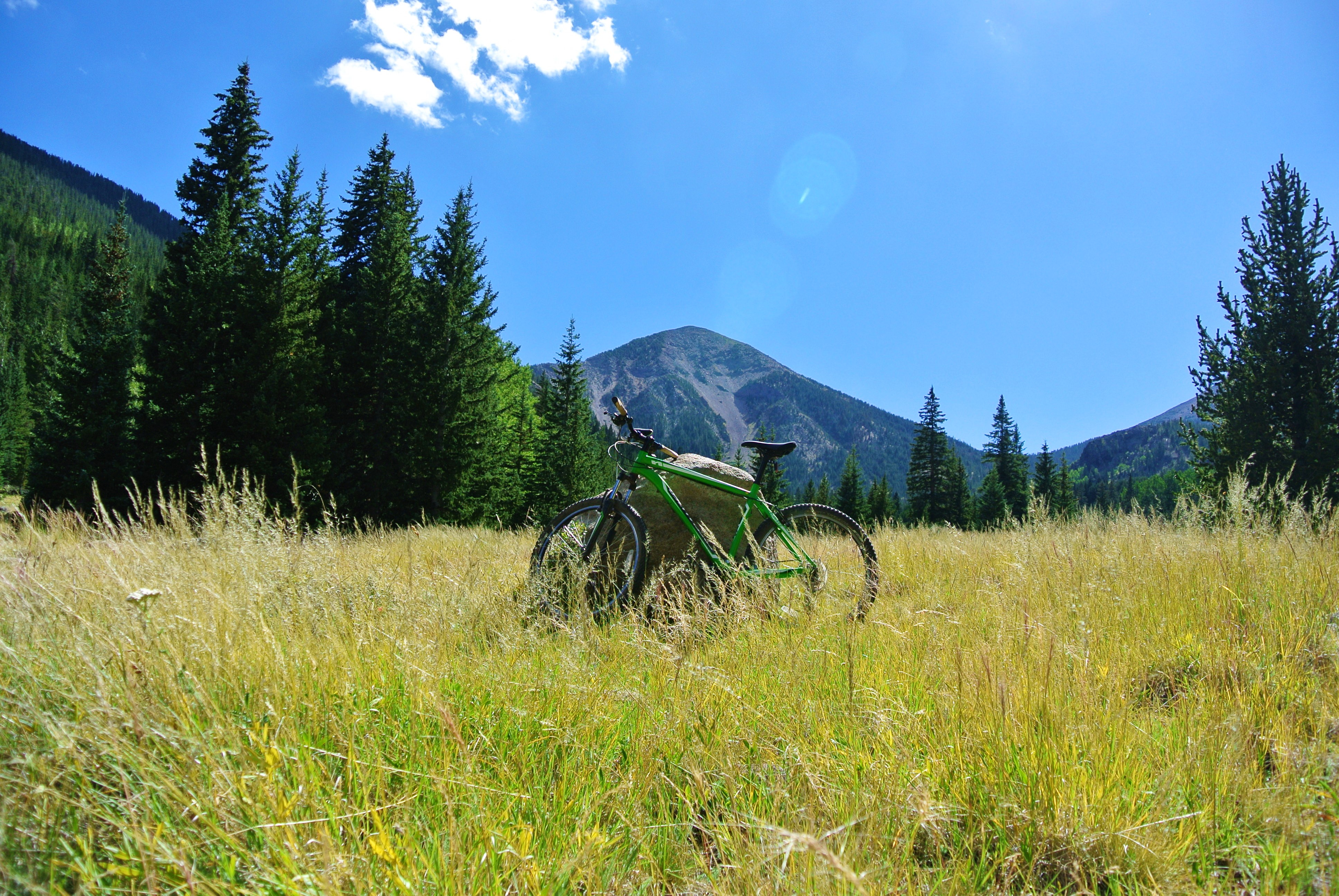 Bike along the San Francisco Peaks on Waterline Road
