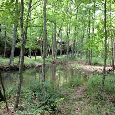 Panther's Den Wilderness Area