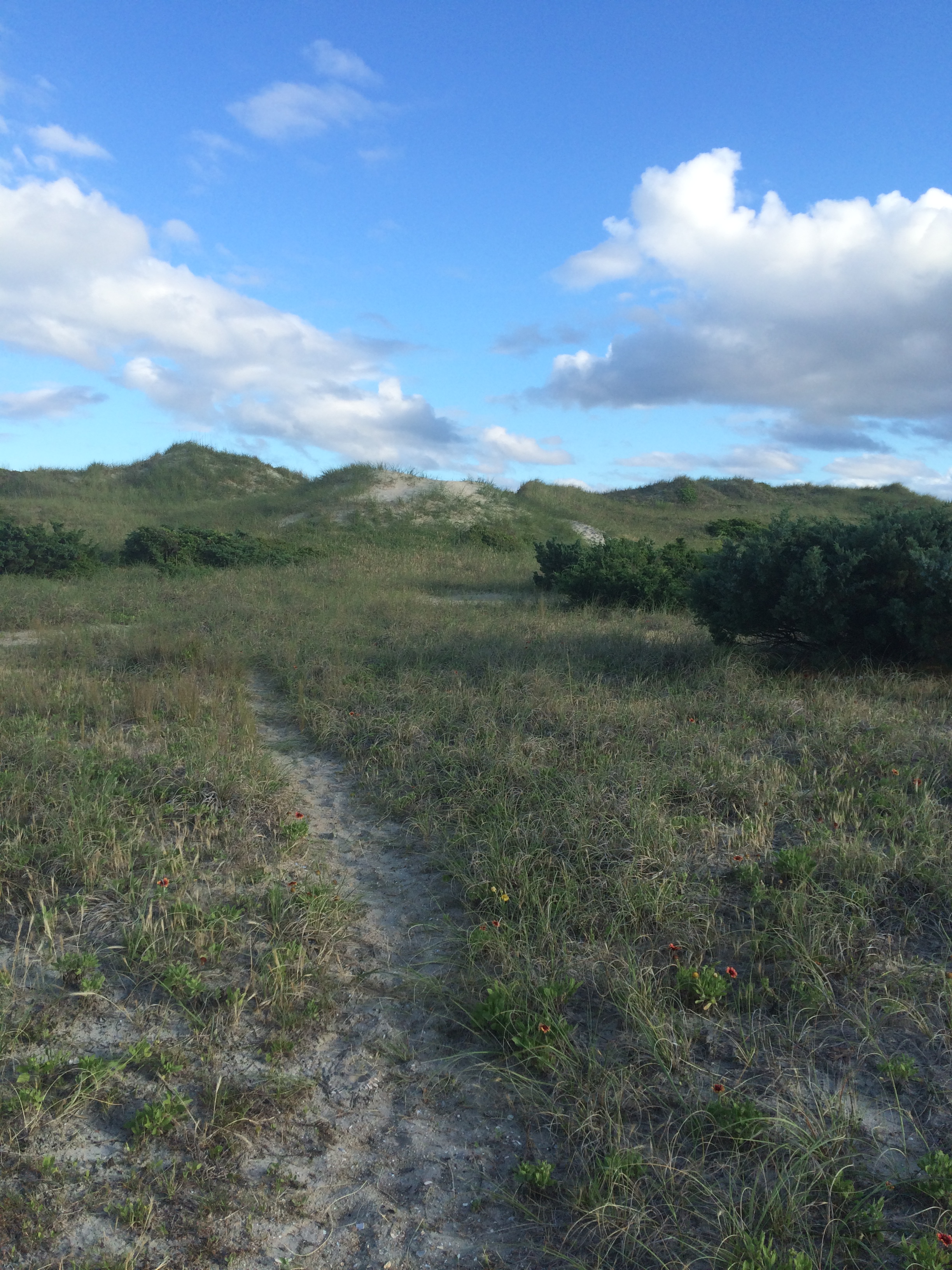 Ocracoke Island, NC