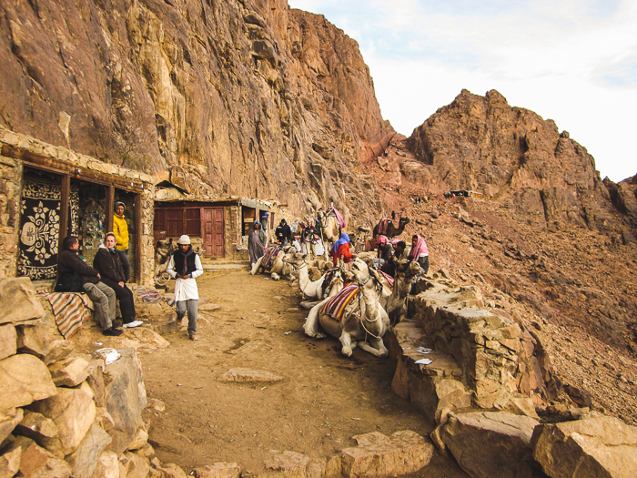 Hike up Mount Sinai 