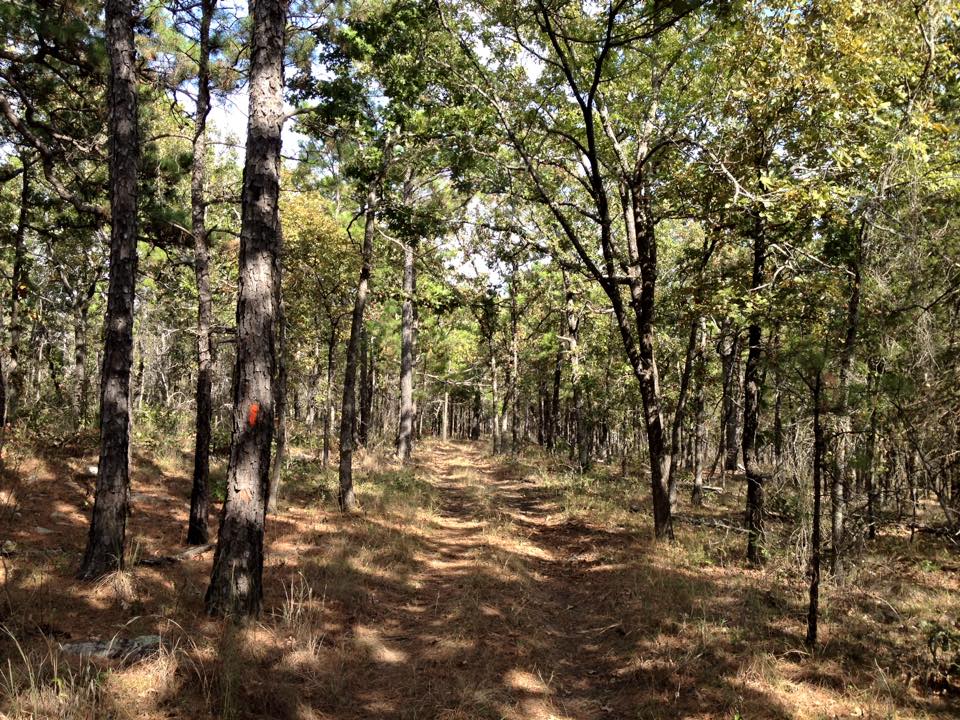 McGee Creek Natural Scenic Recreation Area Loop