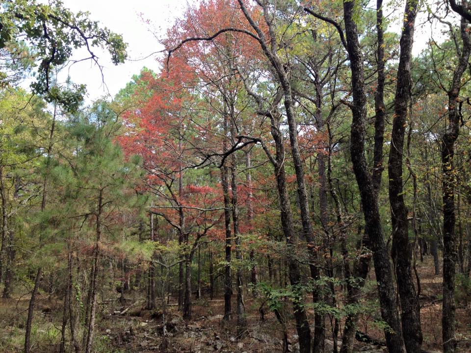 McGee Creek Natural Scenic Recreation Area Loop