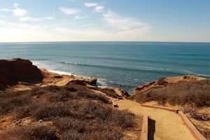 Explore the Point Loma Tide Pools