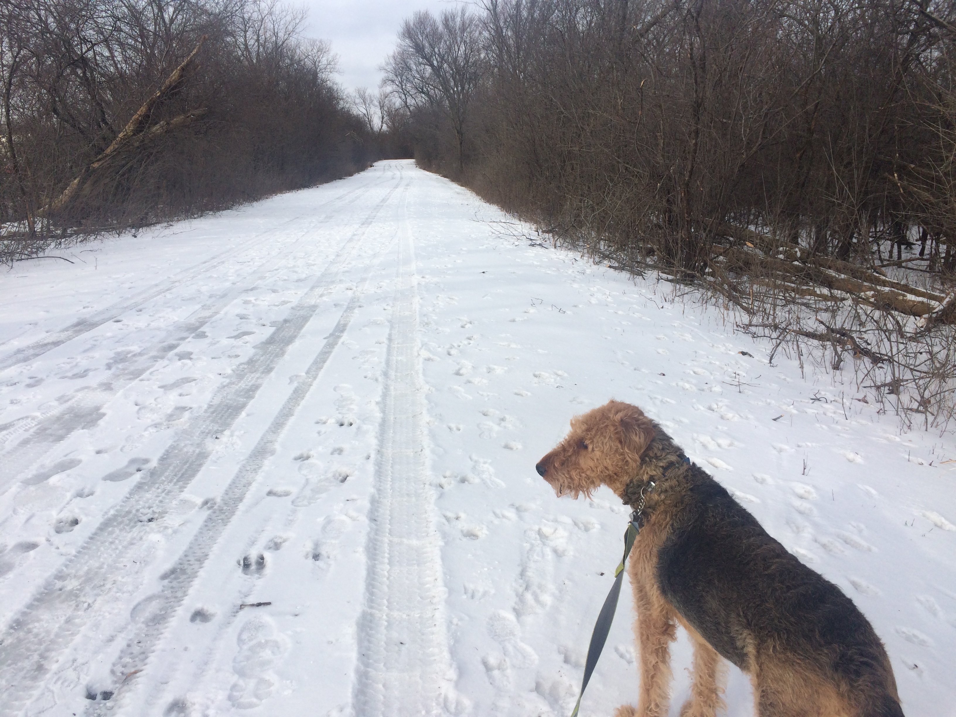 Bike the Skokie Lagoons North Loop