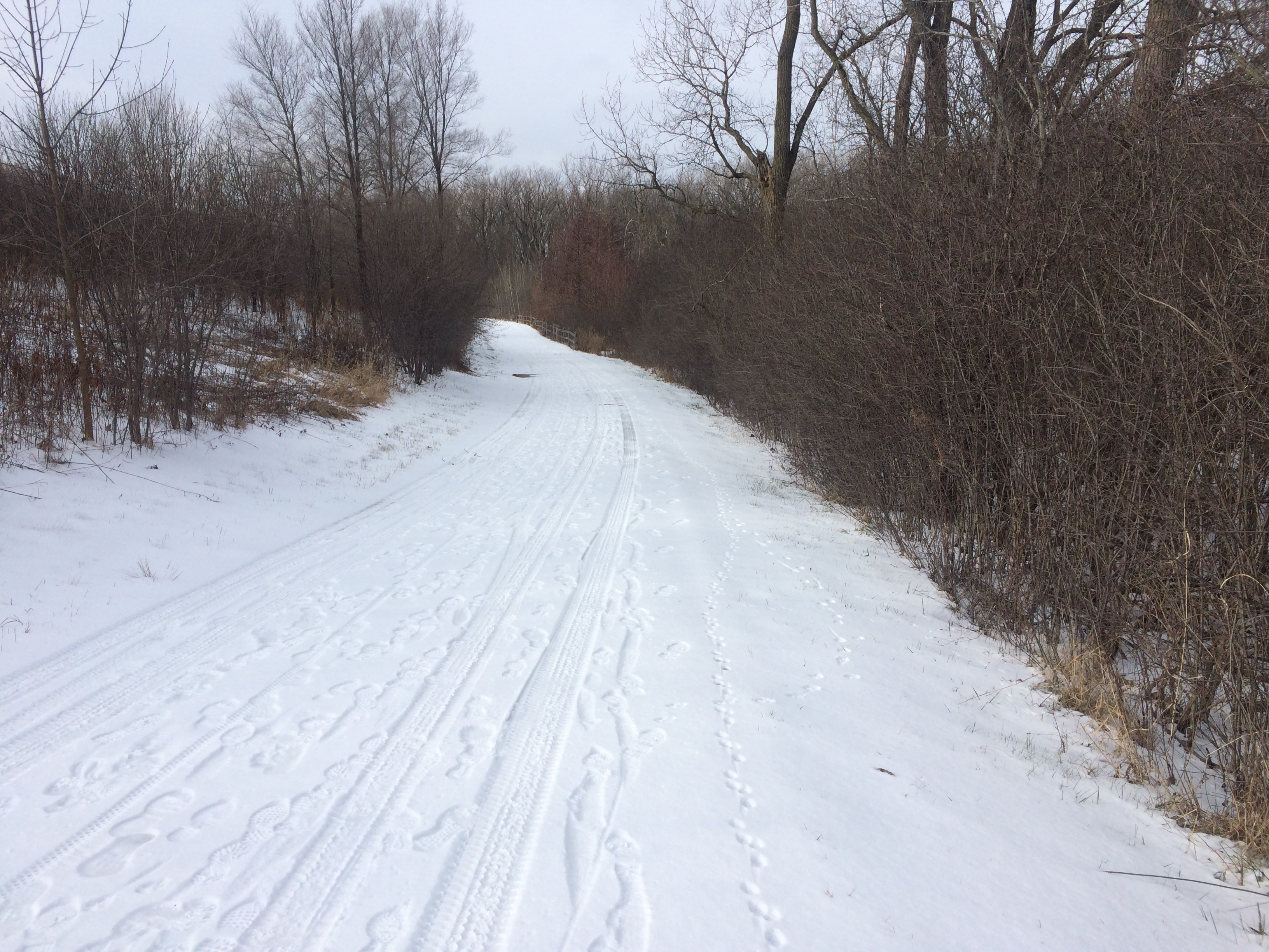 Bike the Skokie Lagoons North Loop