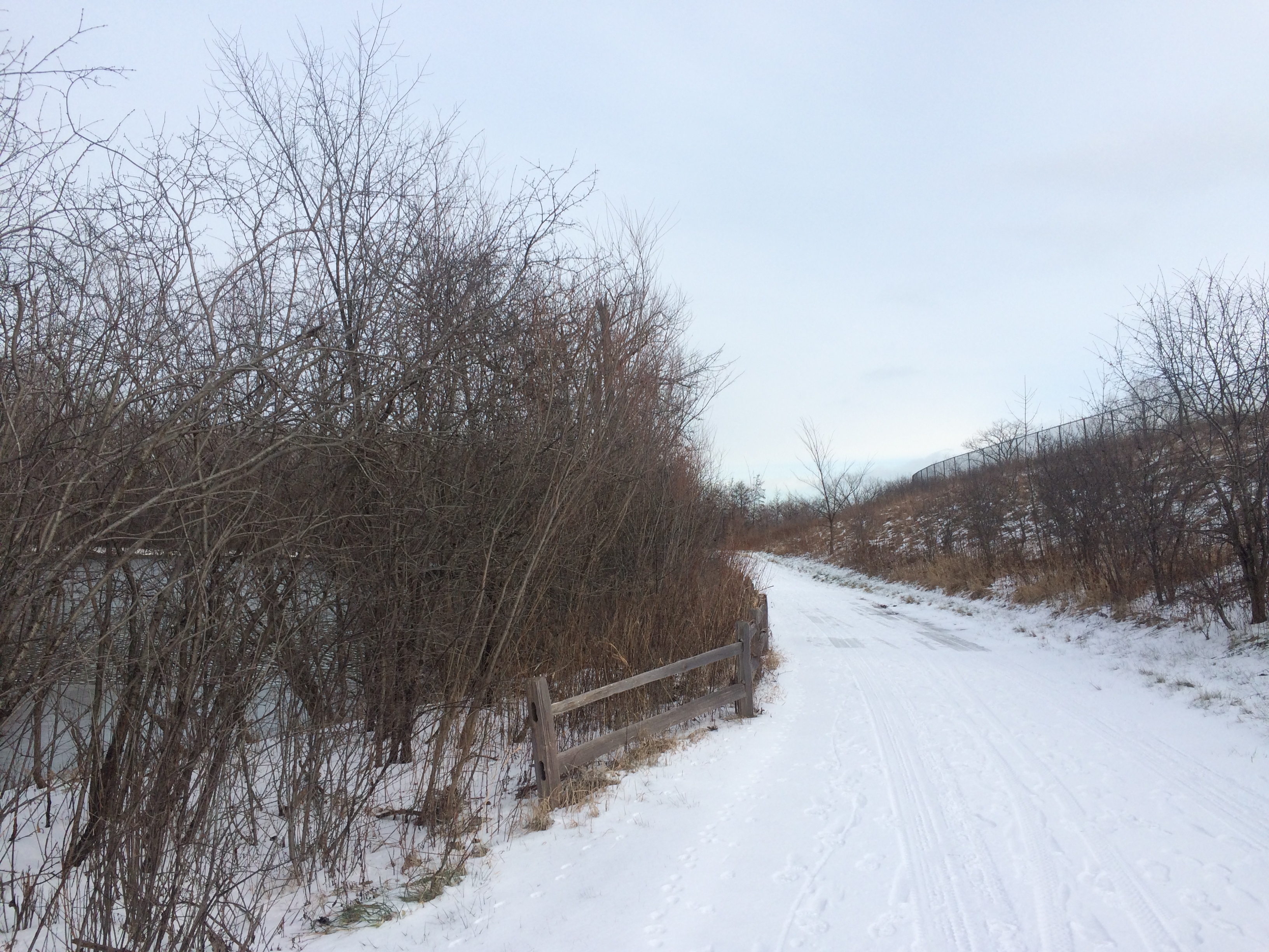Bike the Skokie Lagoons North Loop