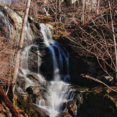 Hike to Doyles Falls 