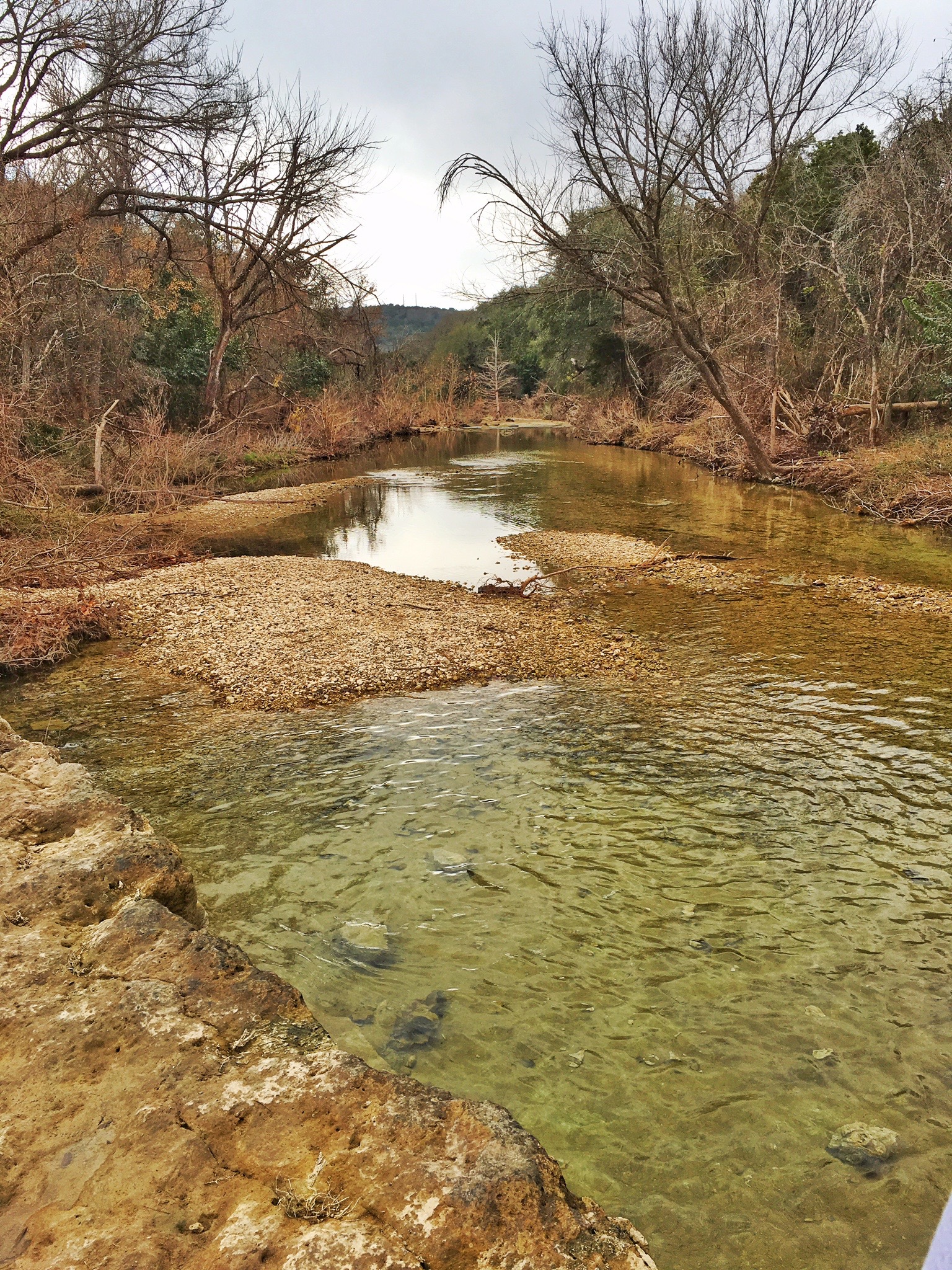 Hike the Bull Creek Loop