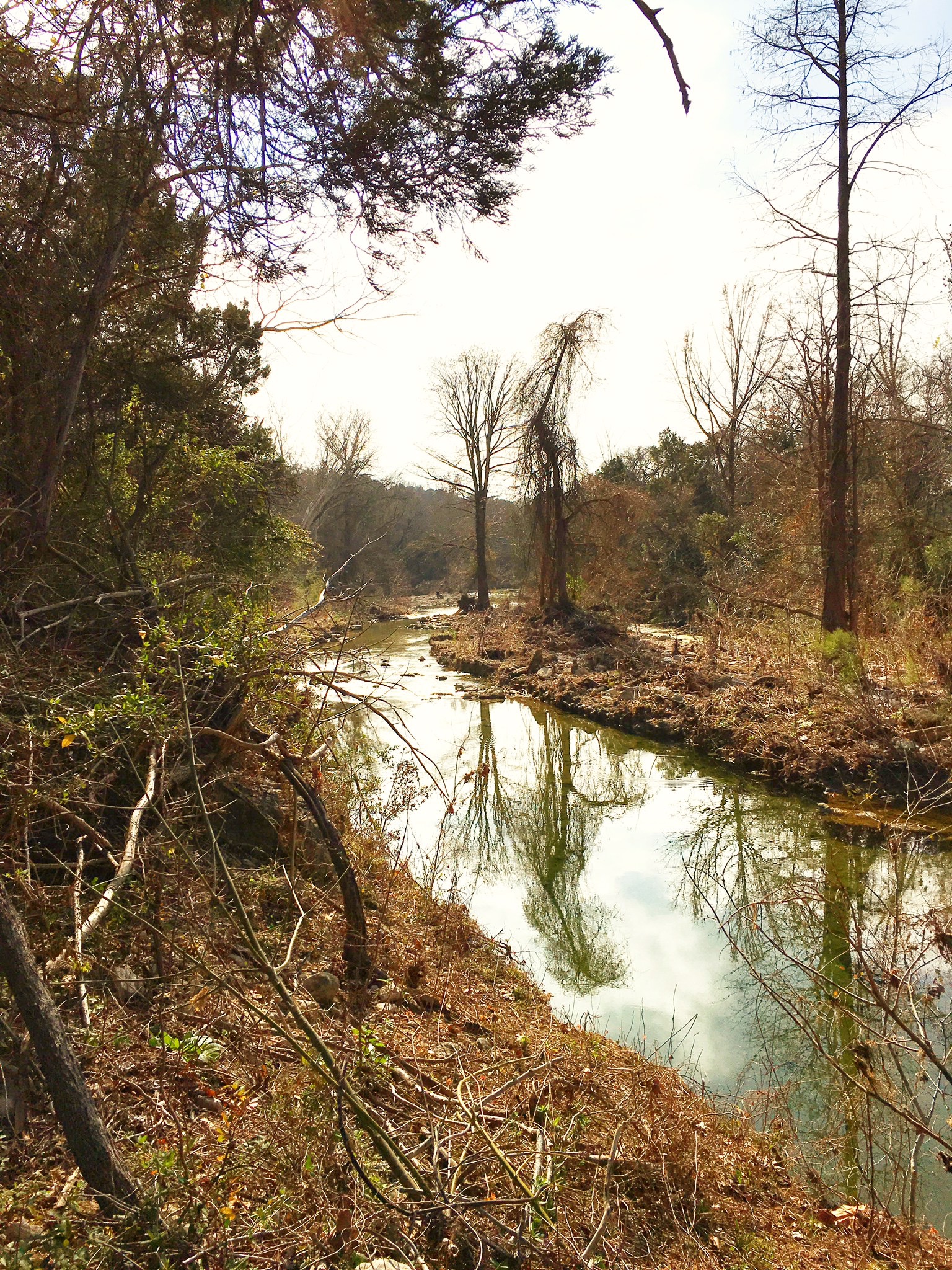 Hike the Bull Creek Loop