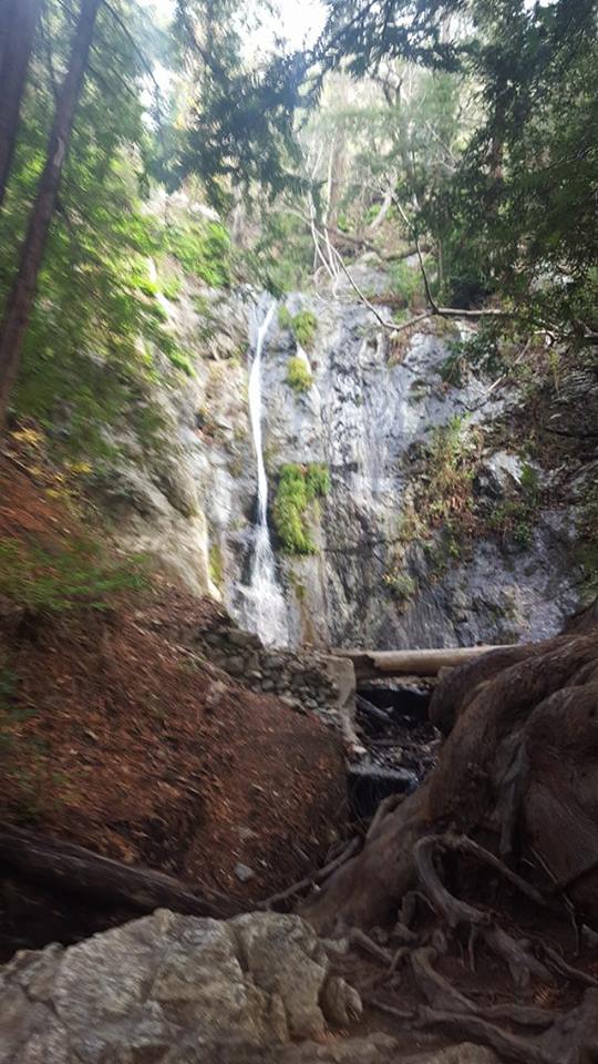 Pfeiffer Falls