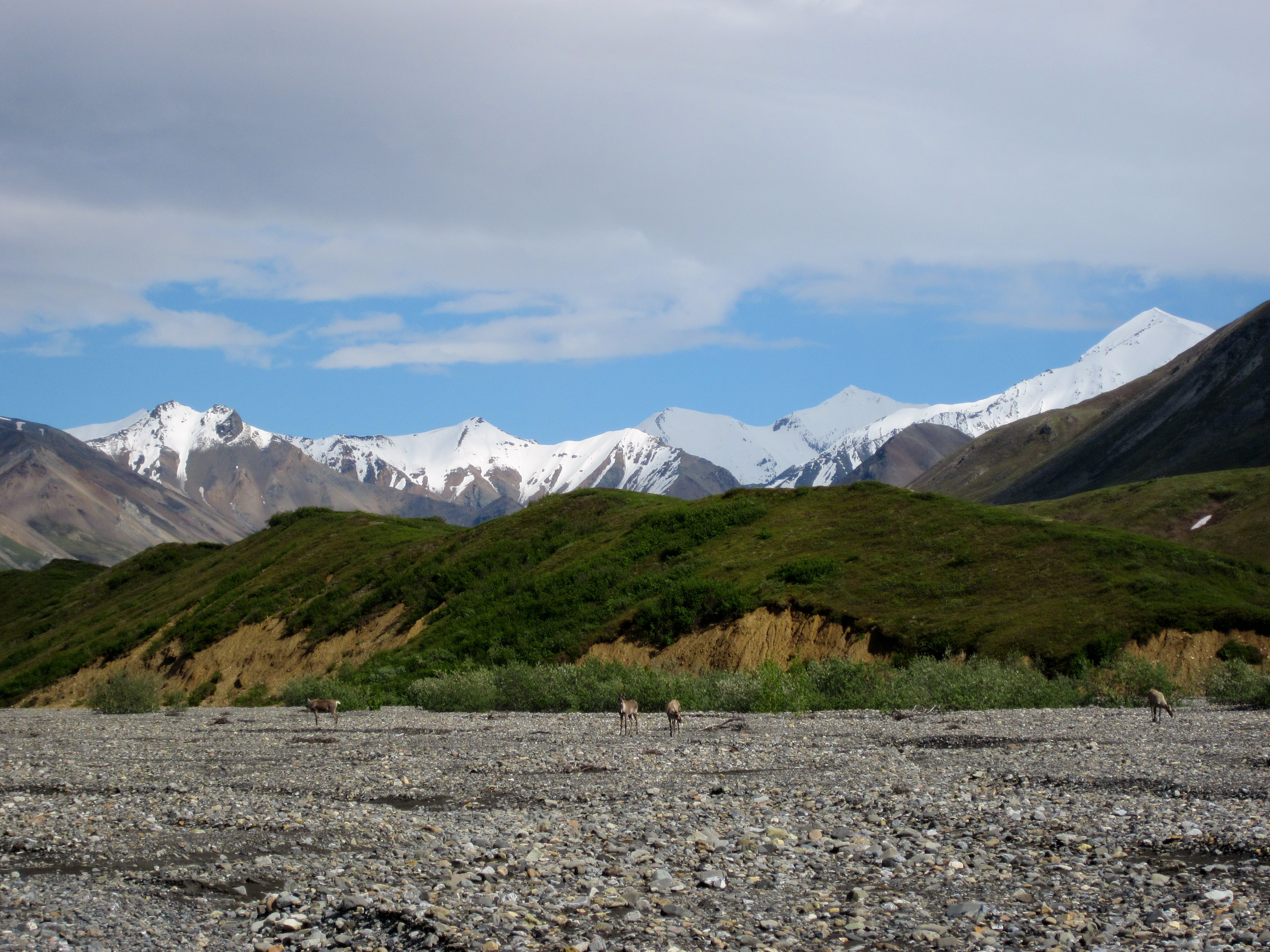 Backpack the Mt. Eielson Loop
