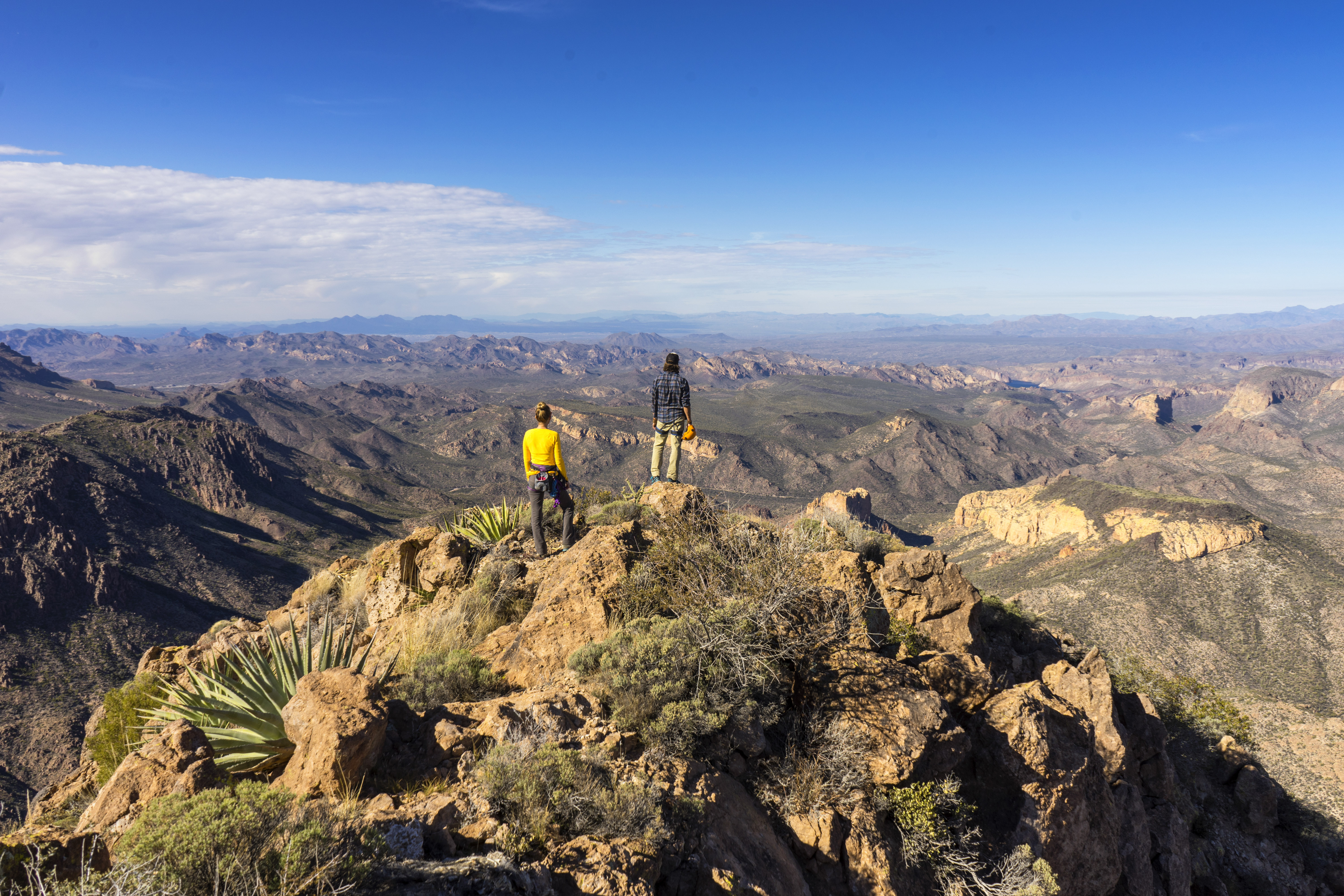 Weavers Needle