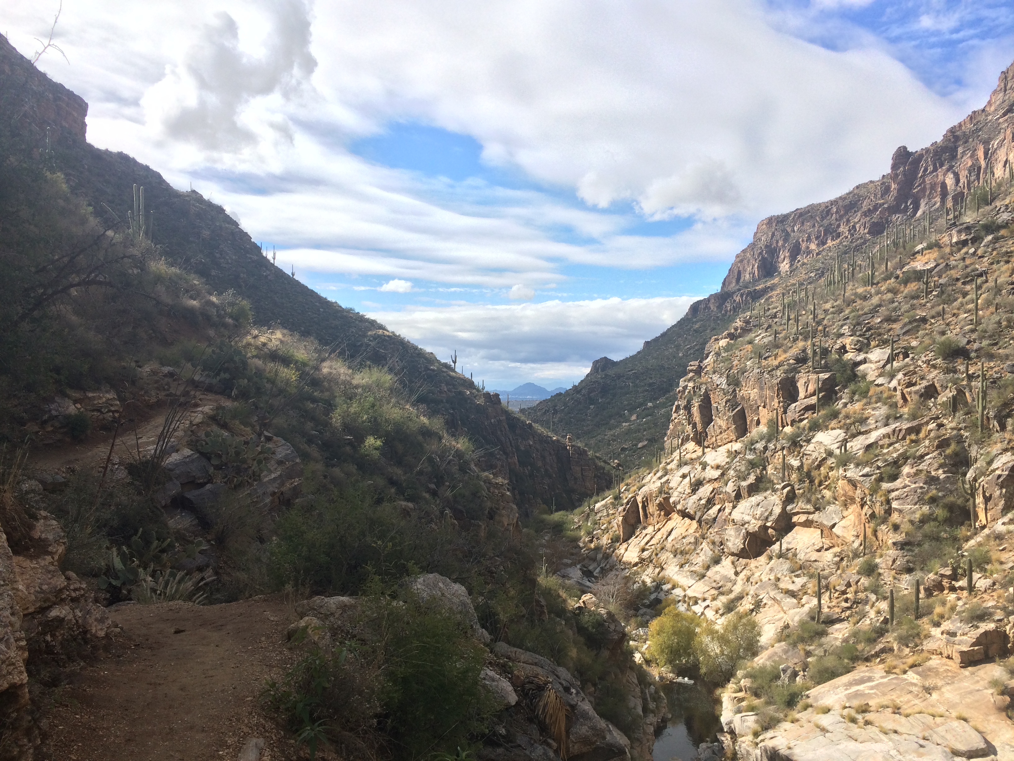 Hike Bear Canyon to Swim at Seven Falls