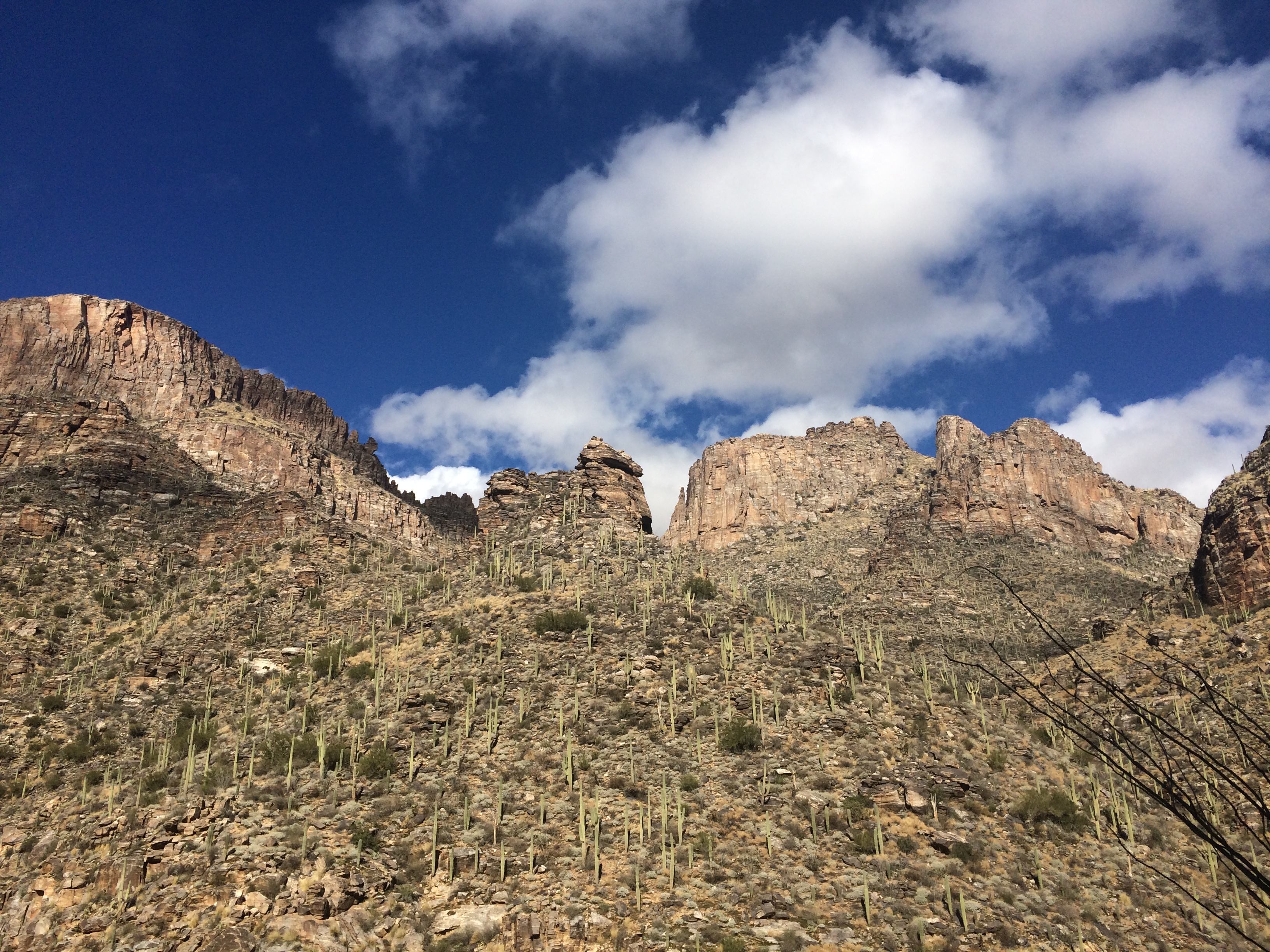 Hike Bear Canyon to Swim at Seven Falls