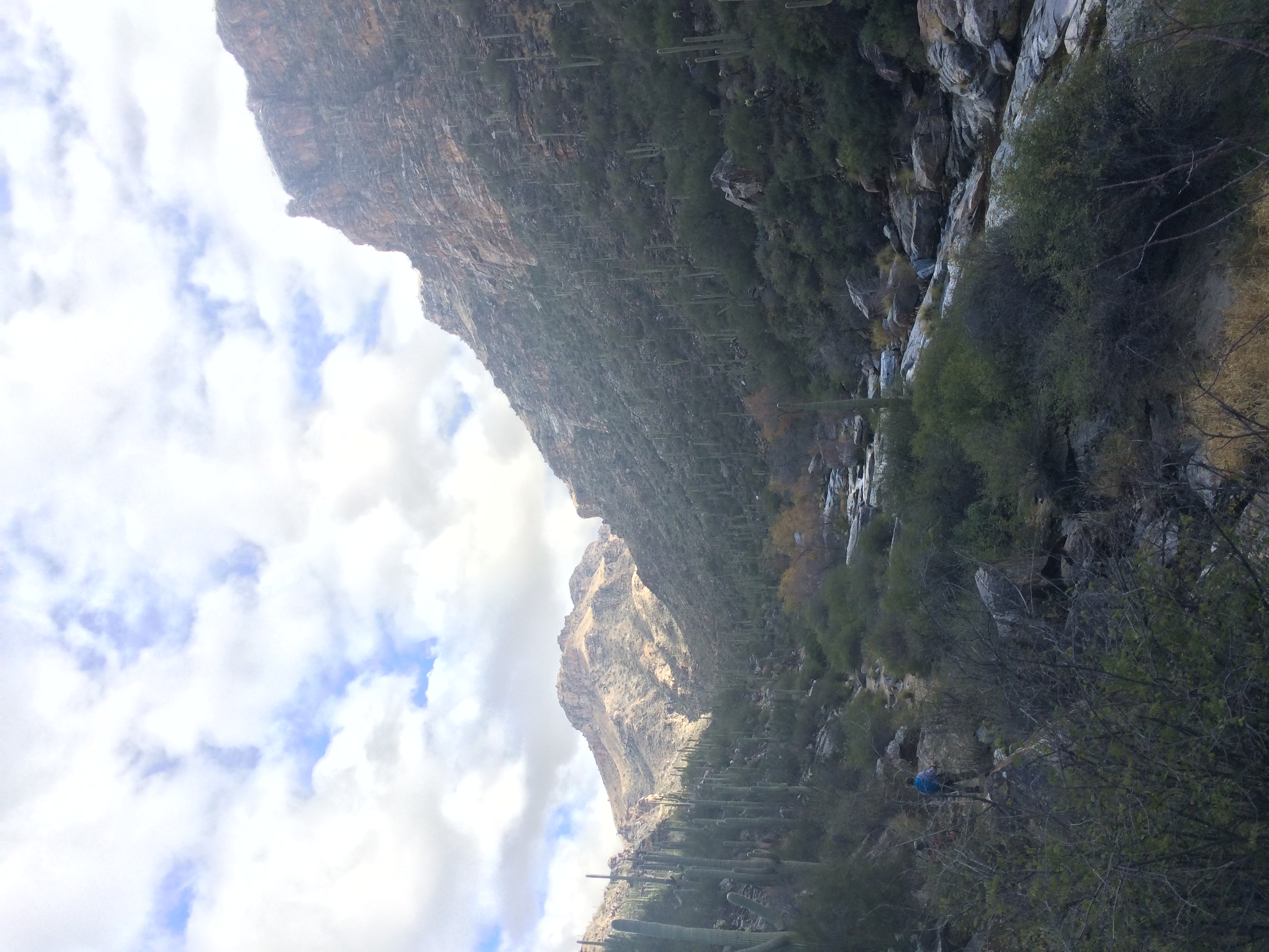 Hike Bear Canyon to Swim at Seven Falls