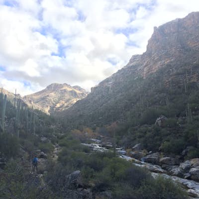 Hike Bear Canyon to Swim at Seven Falls