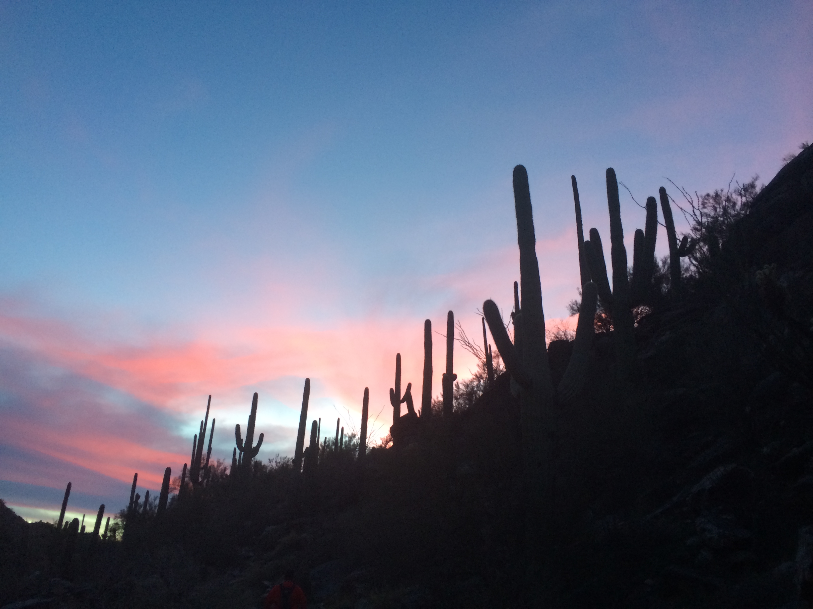 Hike Bear Canyon to Swim at Seven Falls