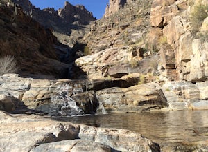 Hike Bear Canyon to Swim at Seven Falls