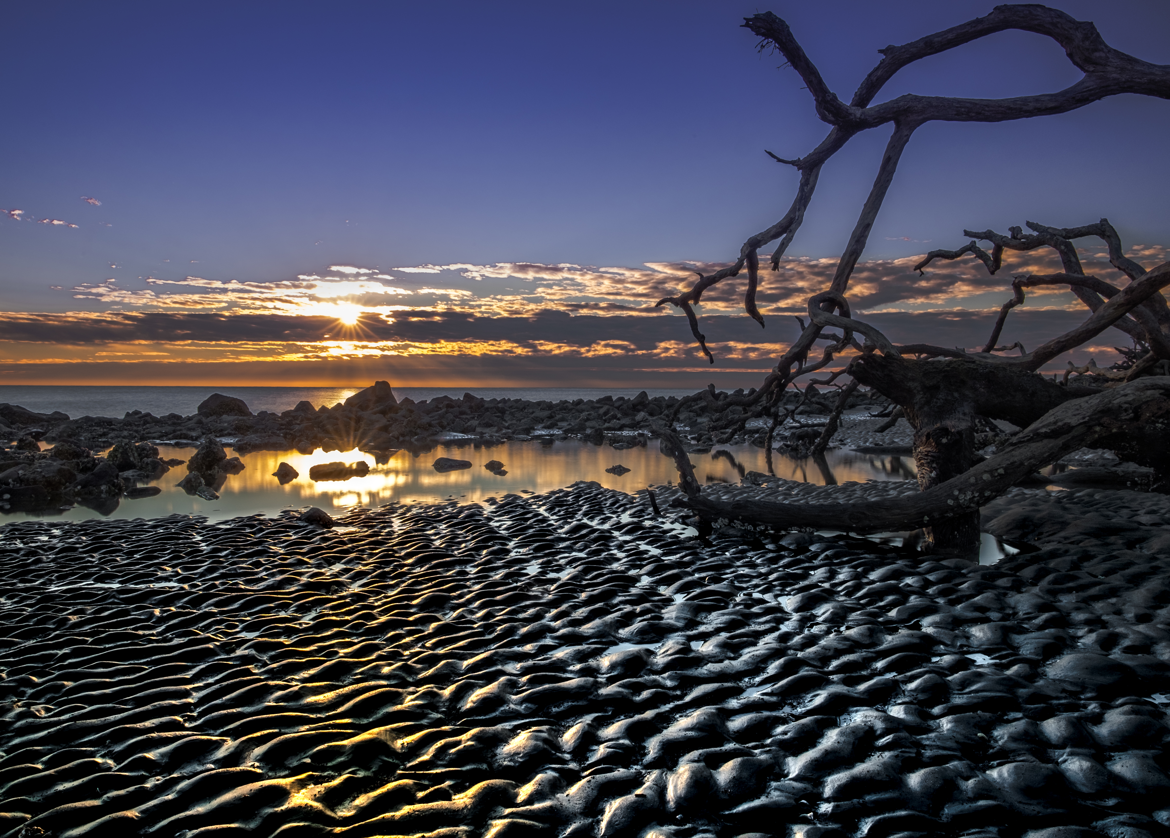 Driftwood Beach on Jekyll Island