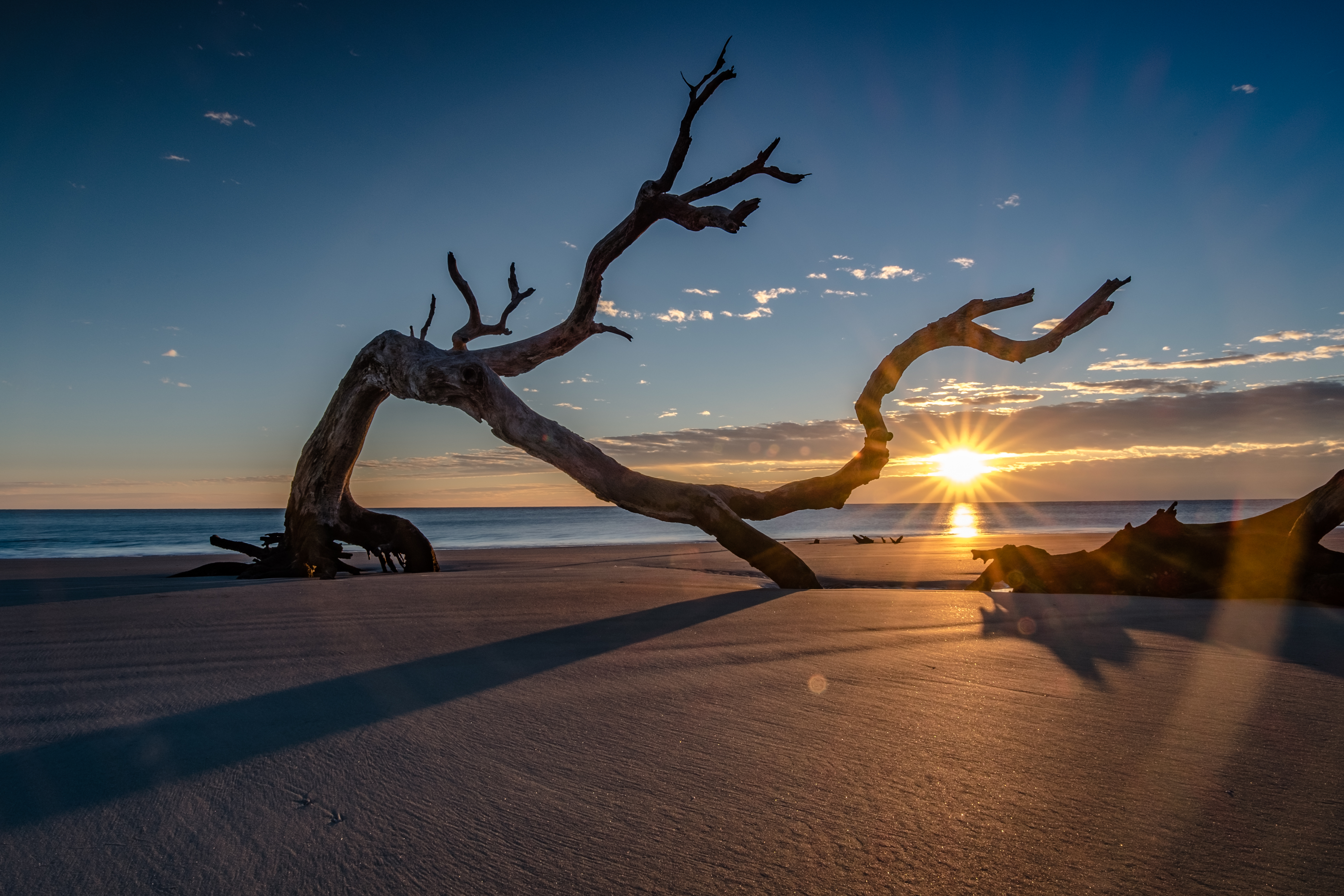Driftwood Beach on Jekyll Island