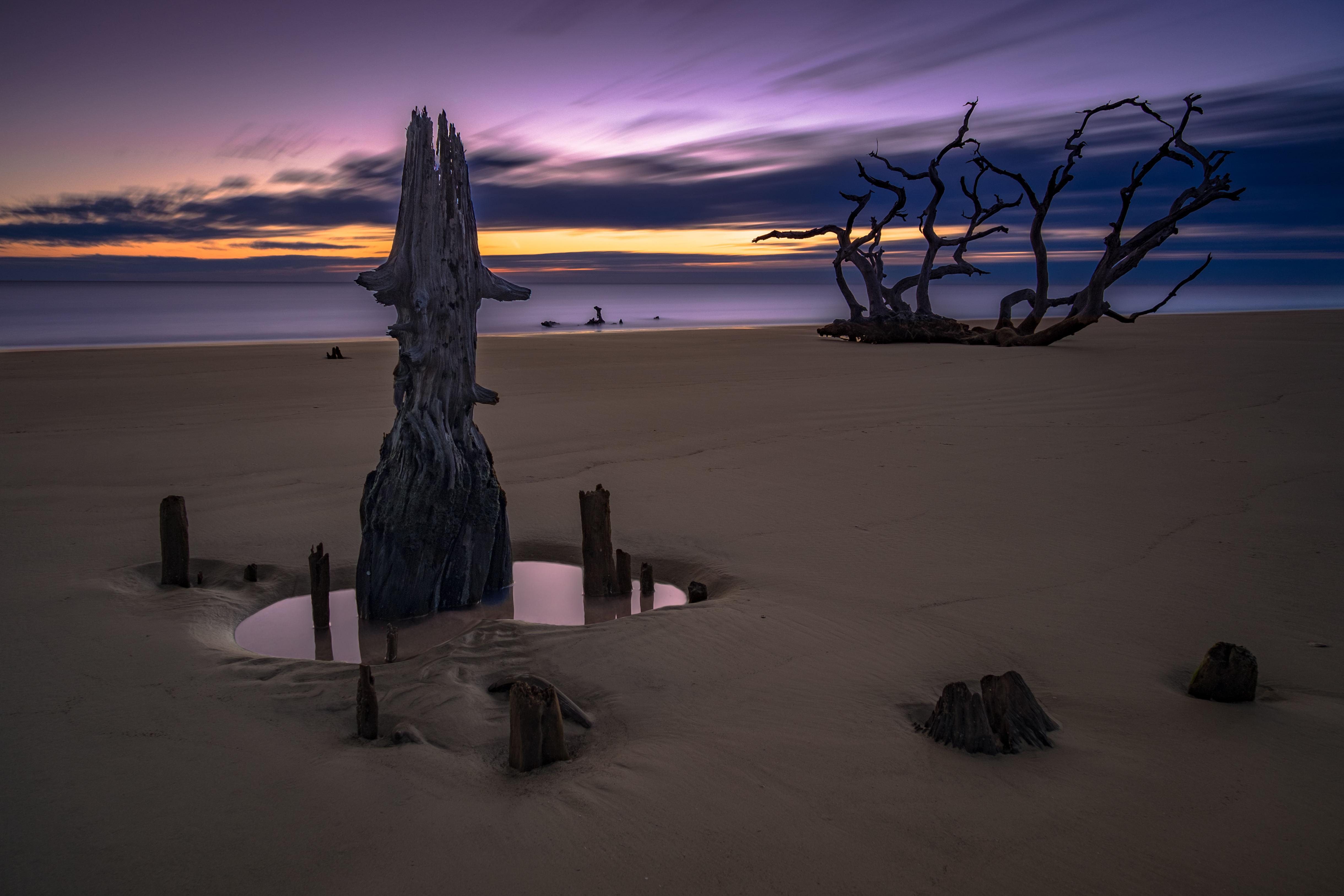 Driftwood Beach on Jekyll Island