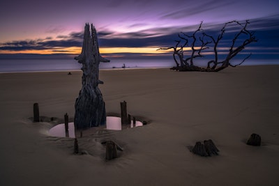 Explore Driftwood Beach on Jekyll Island, N Loop Trail