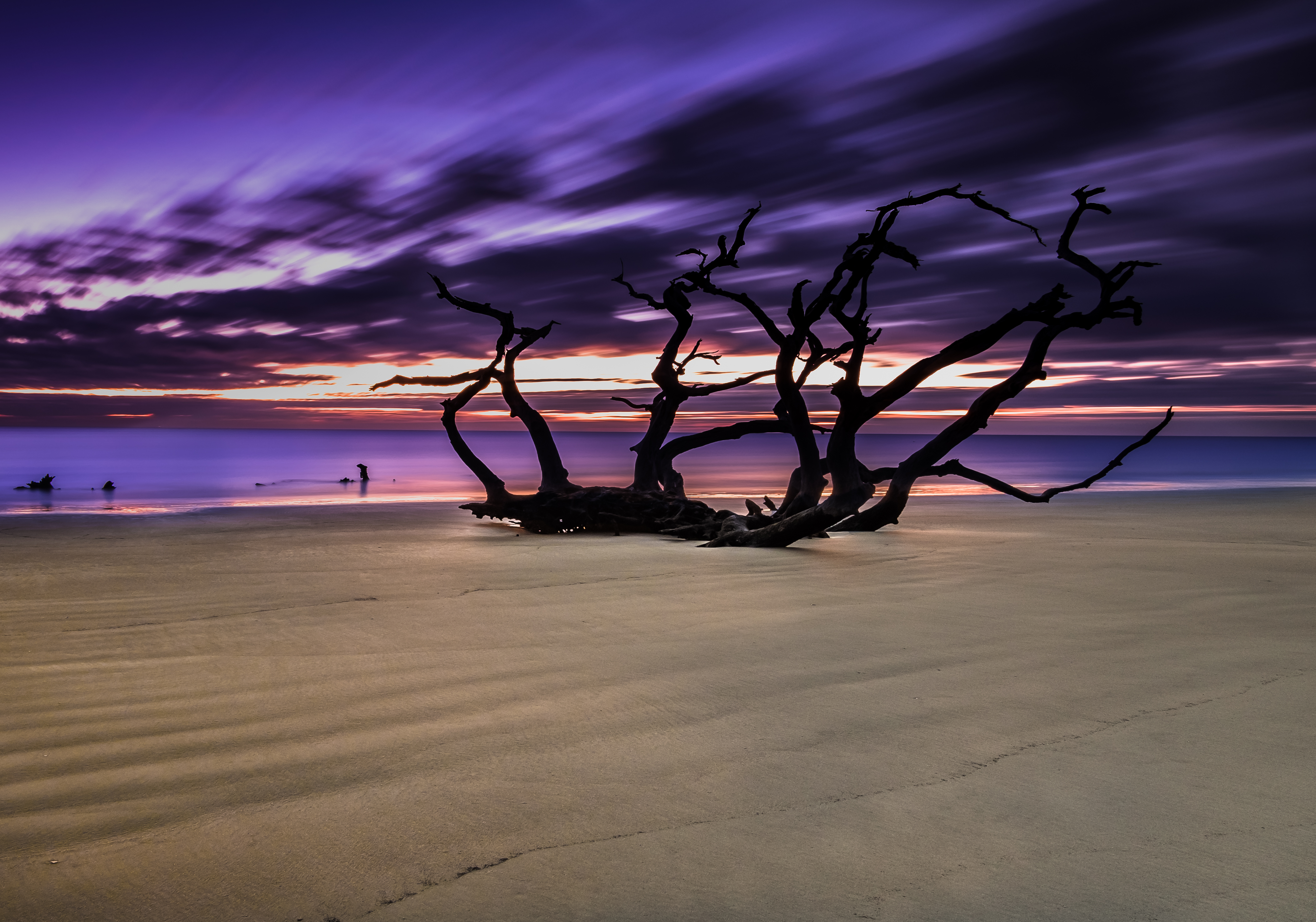 Driftwood Beach on Jekyll Island