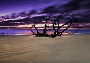 Driftwood Beach on Jekyll Island