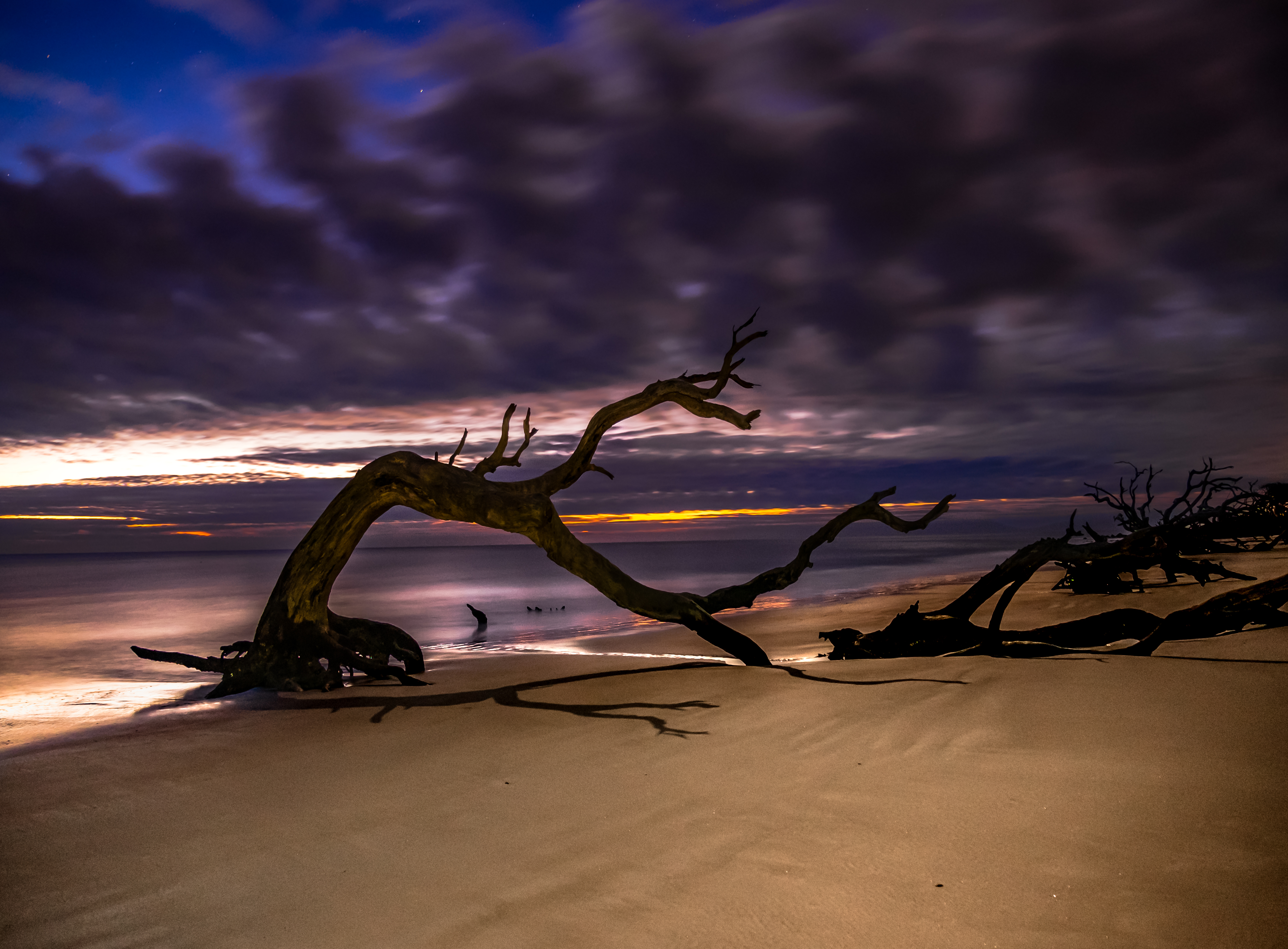 Driftwood Beach on Jekyll Island