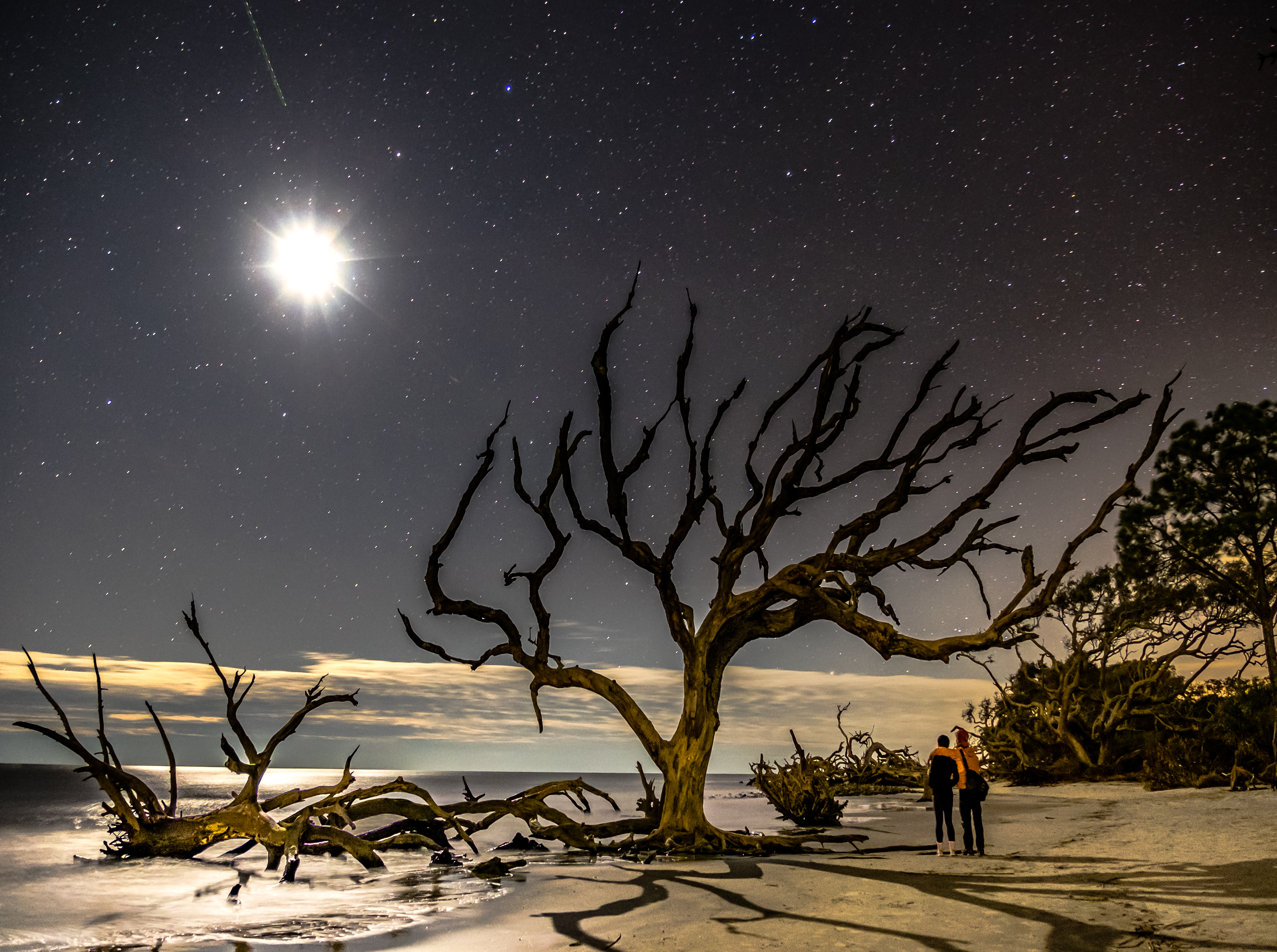 Driftwood Beach on Jekyll Island