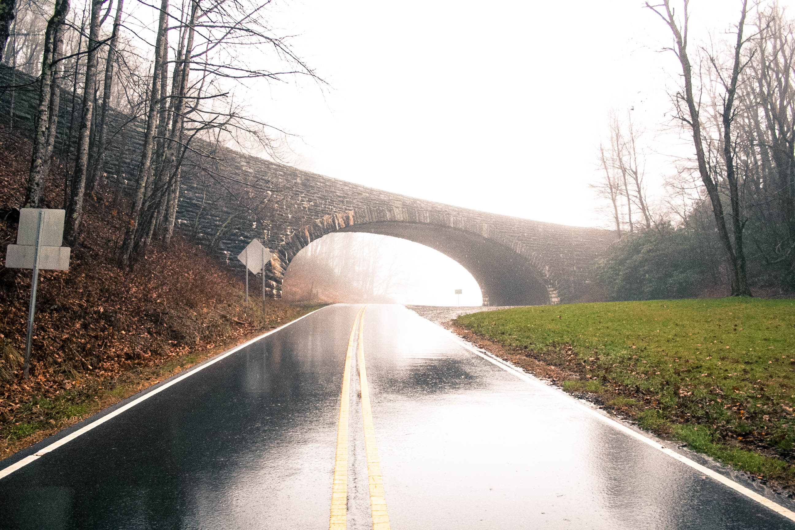 Drive the Scenic Lake Tahoma