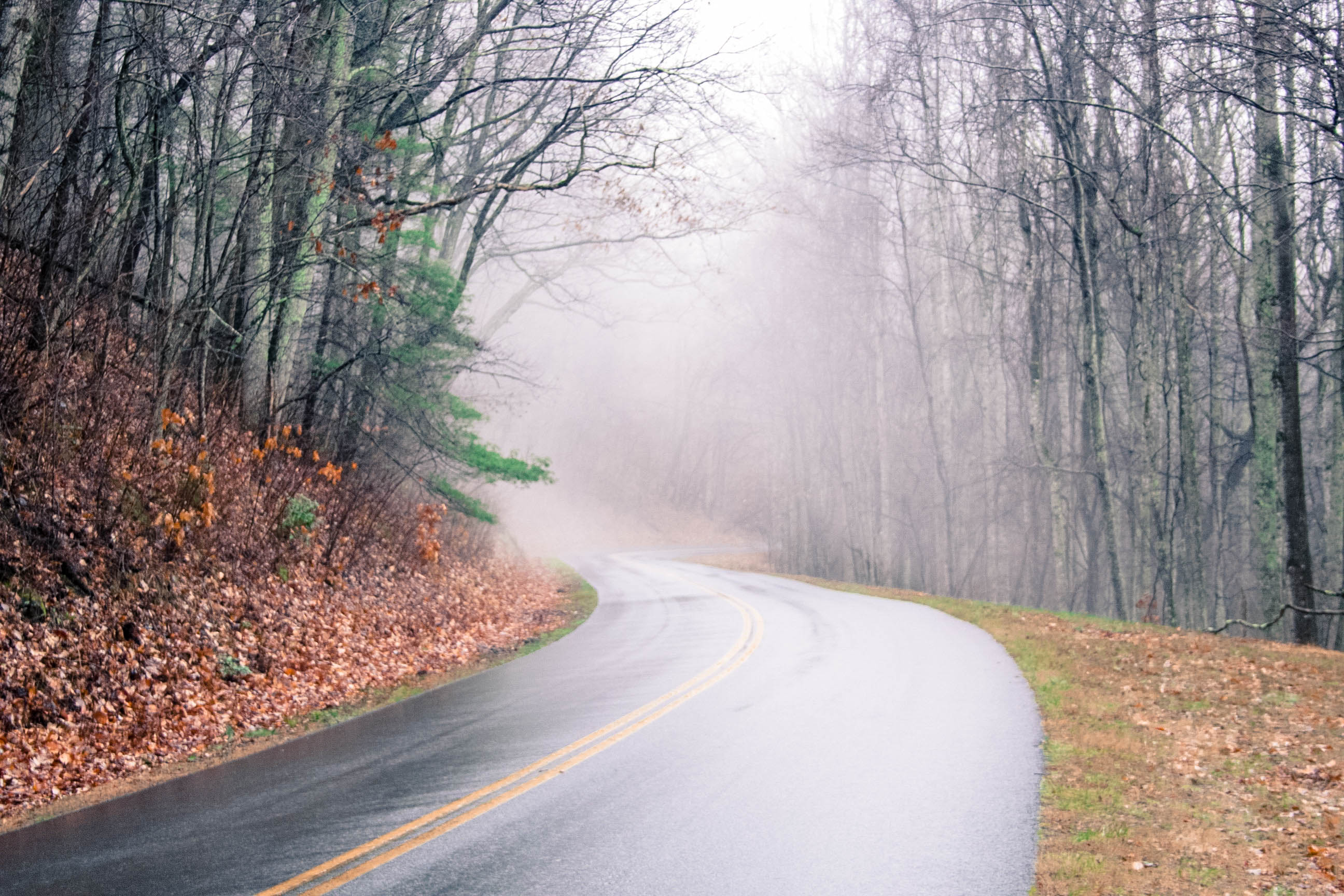 Drive the Scenic Lake Tahoma