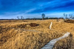 Hike through the Dunes at Kohler-Andrae SP