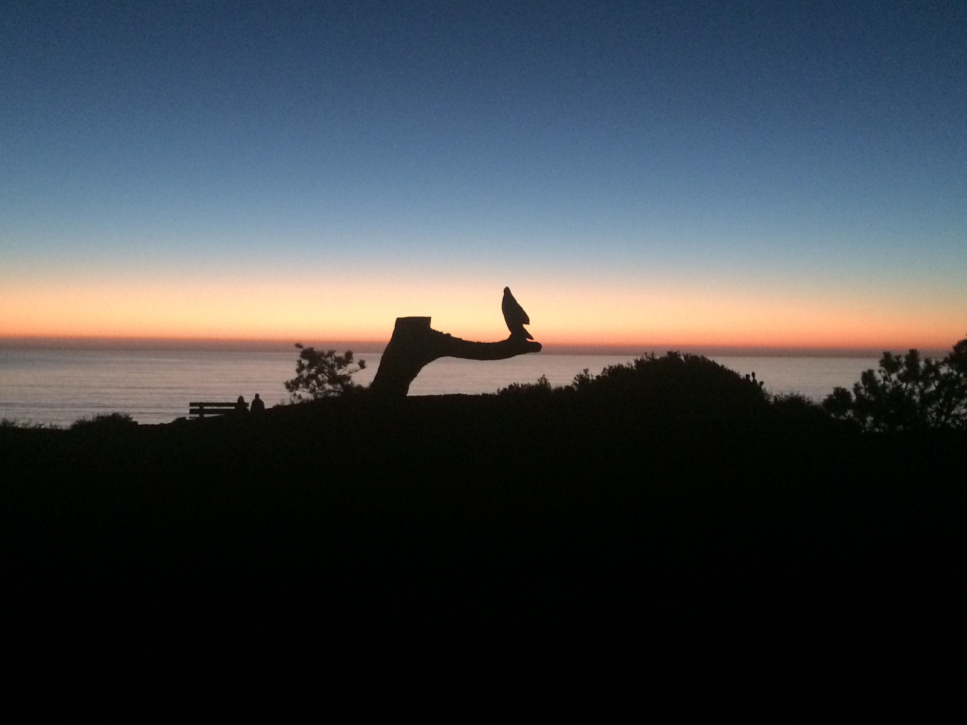 Sunset Seat in Del Mar