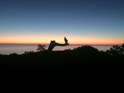 Sunset Seat in Del Mar