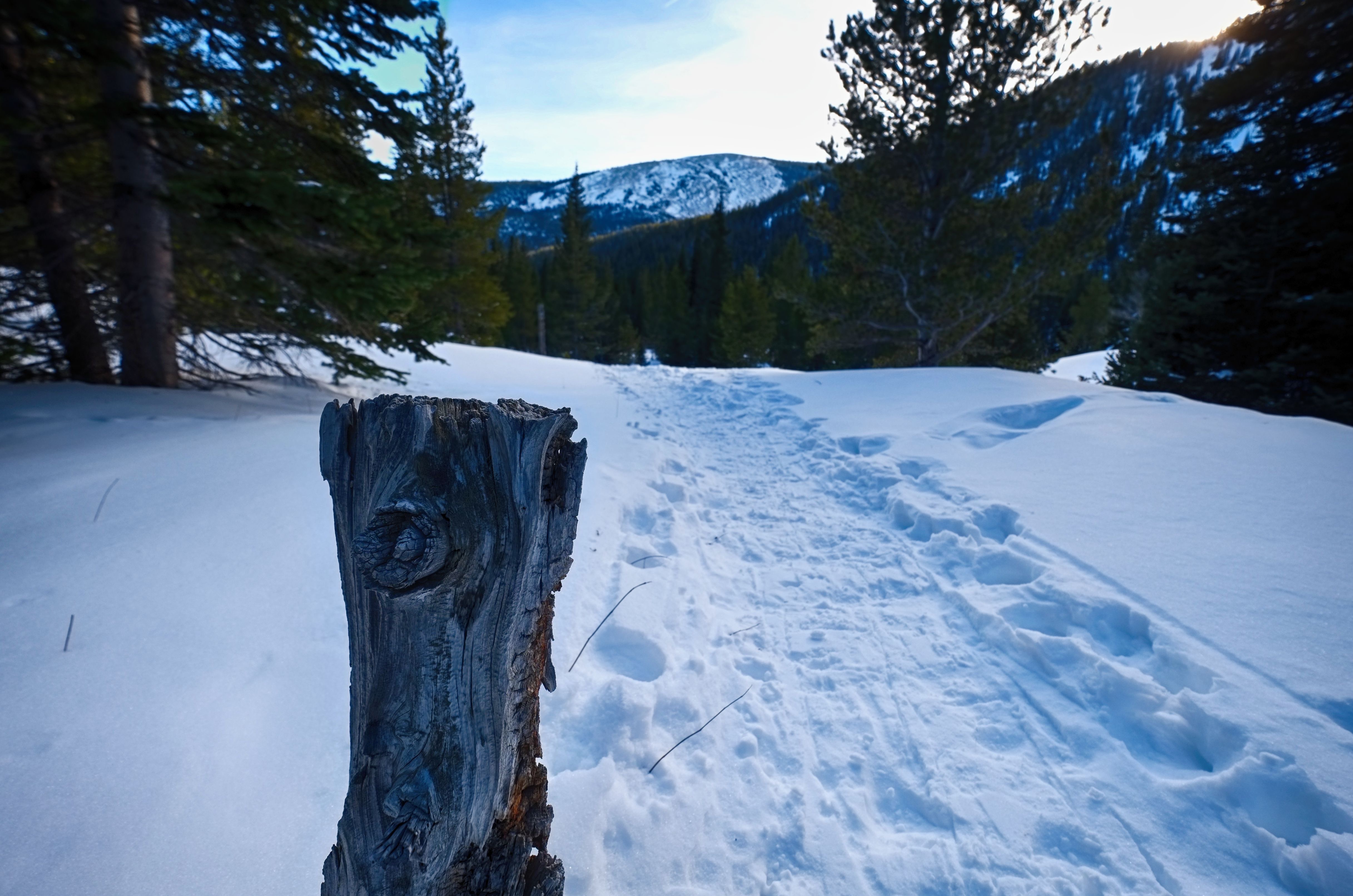 Snowshoe to Jasper Lake