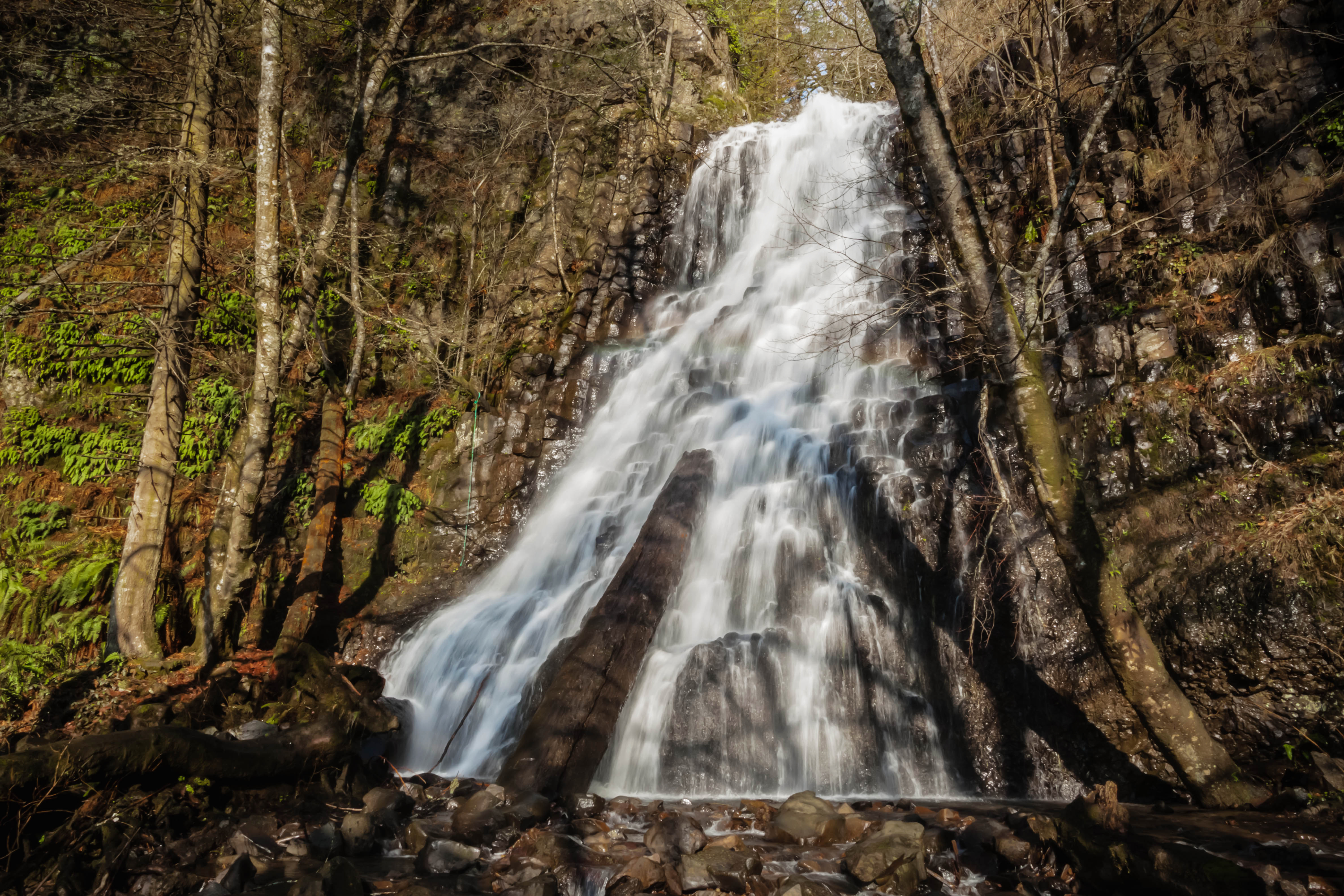 Fall Creek Falls (aka Stella Falls)