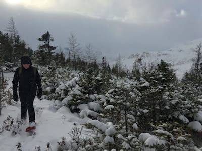 Snowshoe or Hike Adventure – Hummock Trail to Blow Me Down Brook