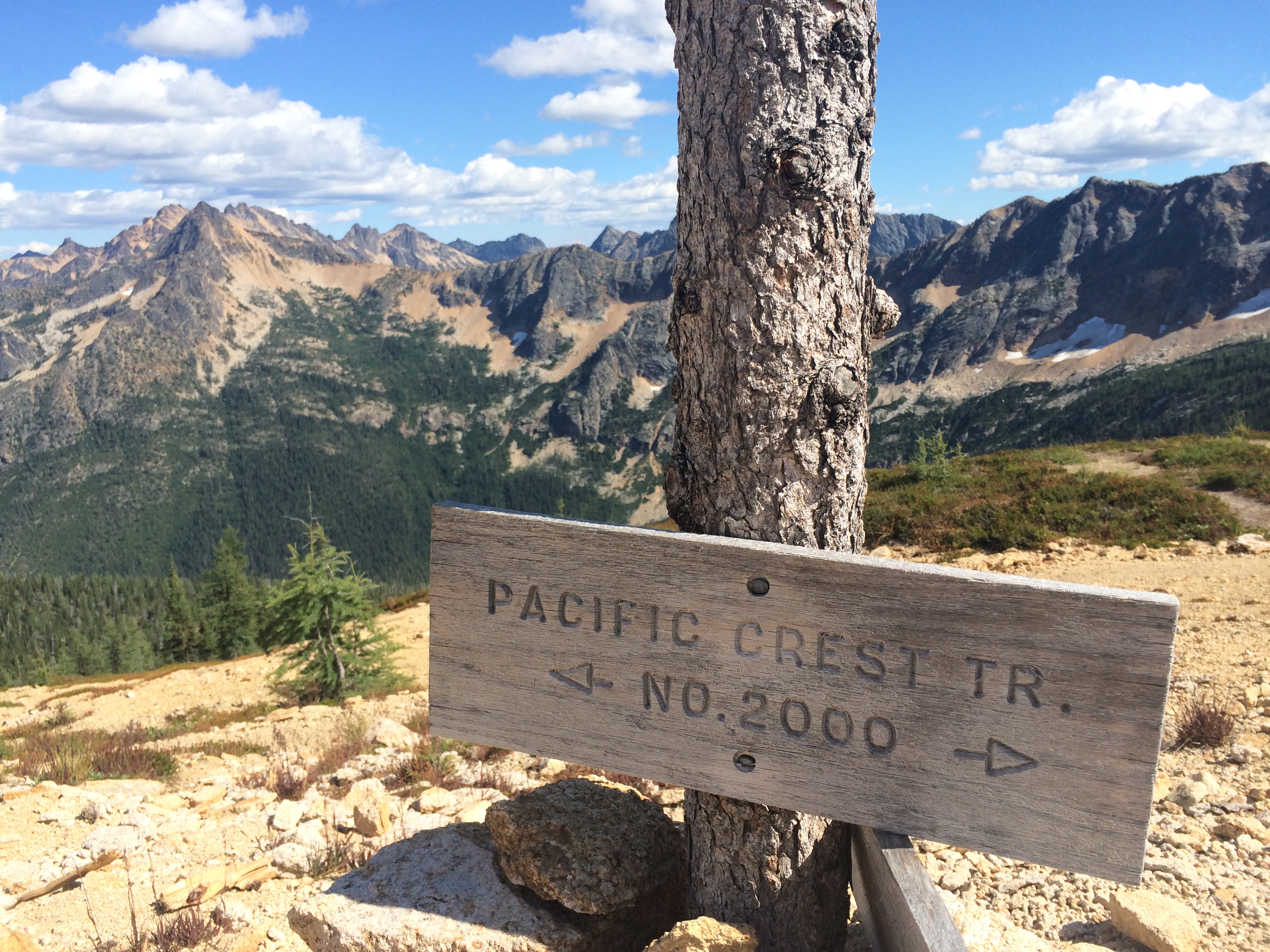Cutthroat Pass via Cutthroat Trail