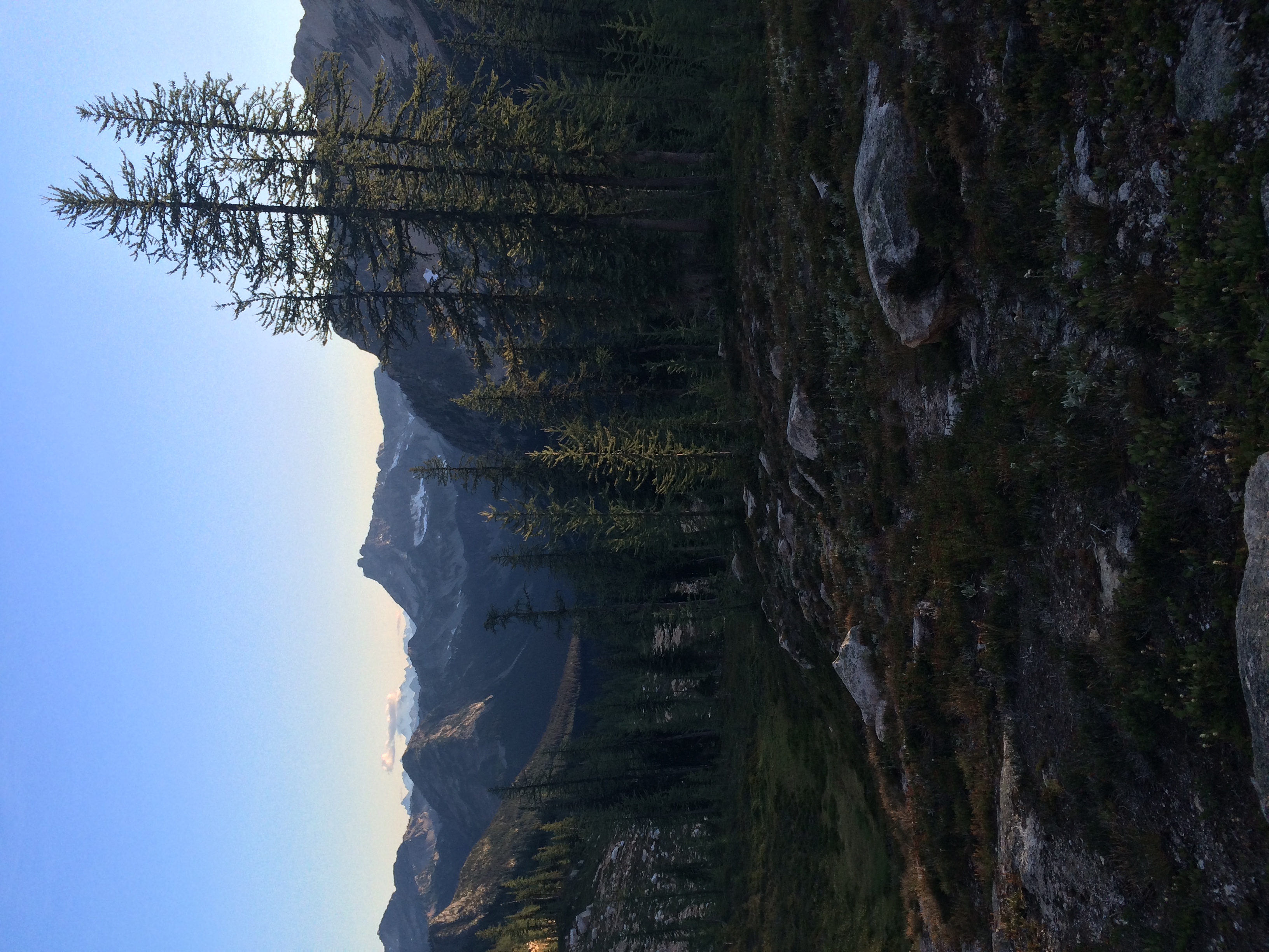 Cutthroat Pass via Cutthroat Trail